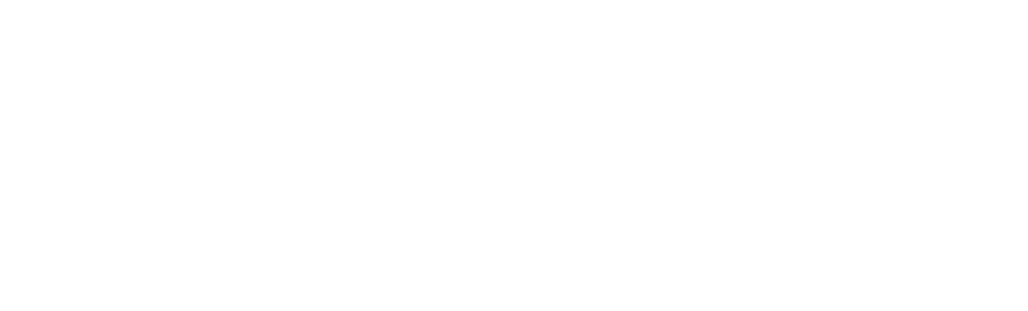 BusyKidd logo