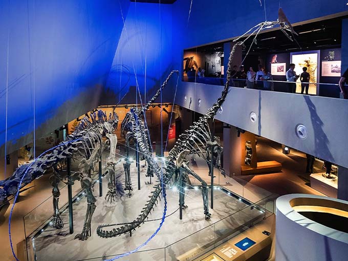 Best Kid-Friendly Museums In Singapore - BusyKidd